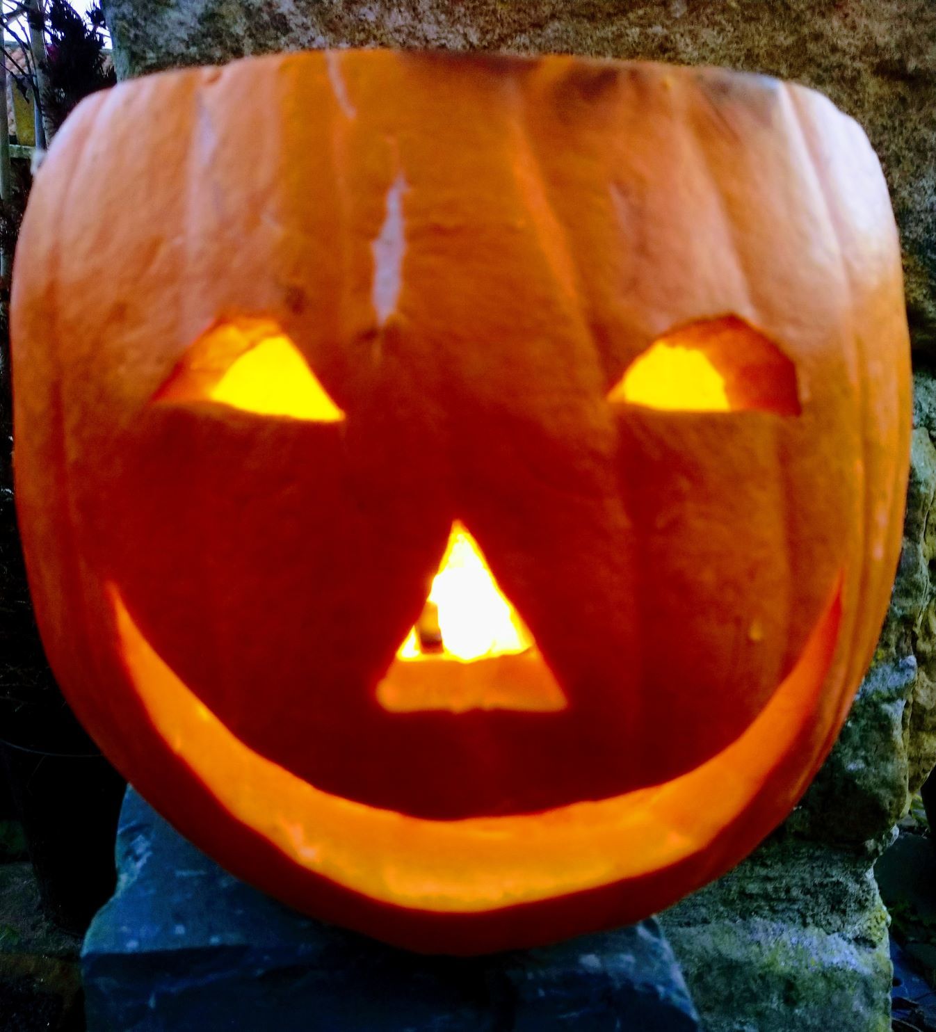 November 2021 Stallholder list
