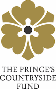 Prince Trust